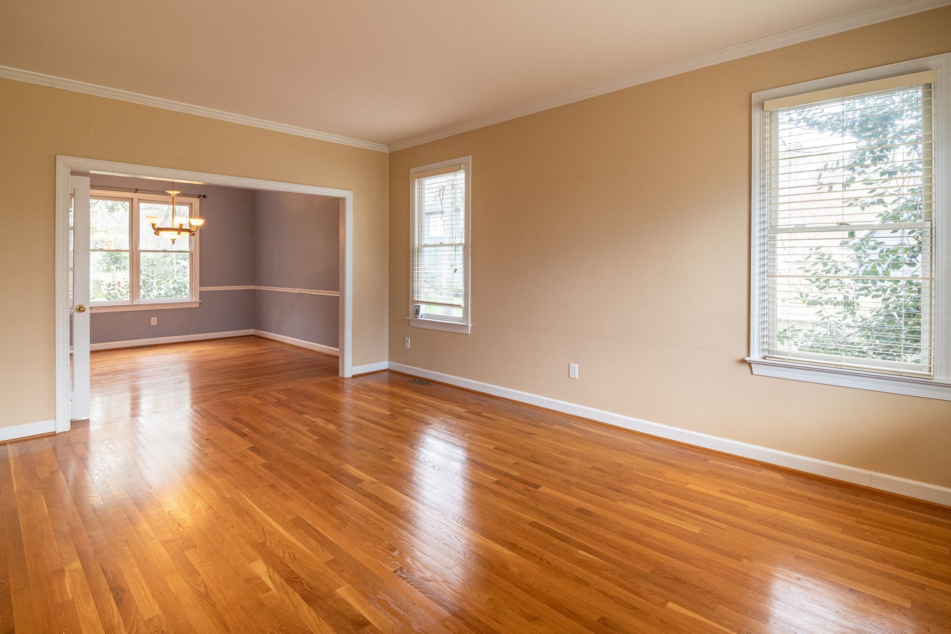 Bright modern interior with hardwood floors